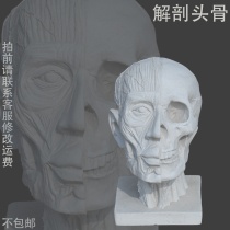 Anatomy of the skull Anatomy of the skull Anatomy of the skull