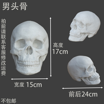 Male and female skulls each have a plaster skull