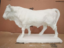 Beef gypsum cow