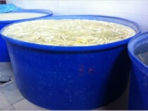 3500 Litres PE Plastic Drum Stirring Barrel Clean Chemical Tank Pickle Barrel Pickle Barrel Open Large Bucket Food Grade