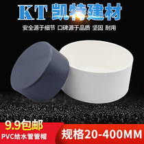 pvc water pipe plug du mao; Plugs 20 25 32 40 50 63 75 90 110 160 200 cover