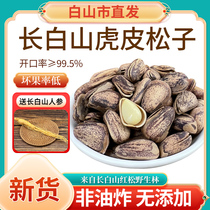 2023 Northeast Changbai Mountain Tiger Pete Large Hand Peeled Red Pine Nuts Wild New Arrival 500g Non-fried Bulk
