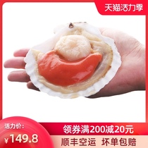 Vermicelli garlic scallop frozen fresh super scallop 1kg10-14 frozen seafood aquatic barbecue ingredients