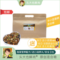 The head is also fresh meat Xuan Pengfeng Parrot feed valley with shell bird food and bird food peony parrot mixed grain 1kg