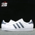 Adidas Adidas clover Superstar vỏ đầu thể thao giày nữ bình thường CM8082