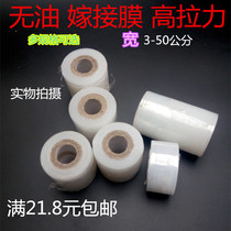  Full 8 rolls of high-quality special grafting film Fruit tree seedling dressing belt self-adhesive winding colorless film grafting belt