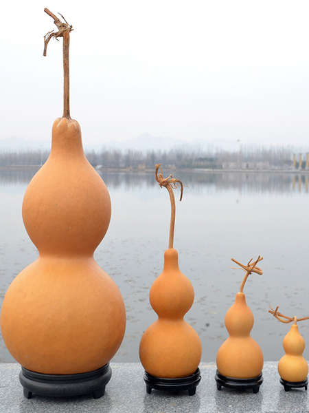 Natural Big Gourd Ornaments Crafts Hand Toy Play Small Calabash Feng Shui and Home Protection Amulet Home Hand Pieces Living Room Decorations