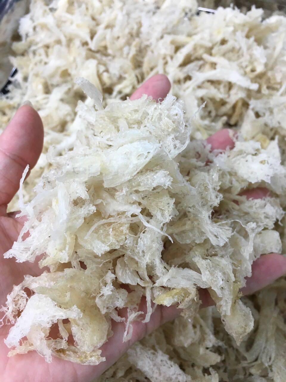 Myanmar Conscience Store) Indonesia imported triangular bird's nest extremely light angle bird's nest 50g original ecological pregnant woman nourishing