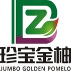 珍宝金柚