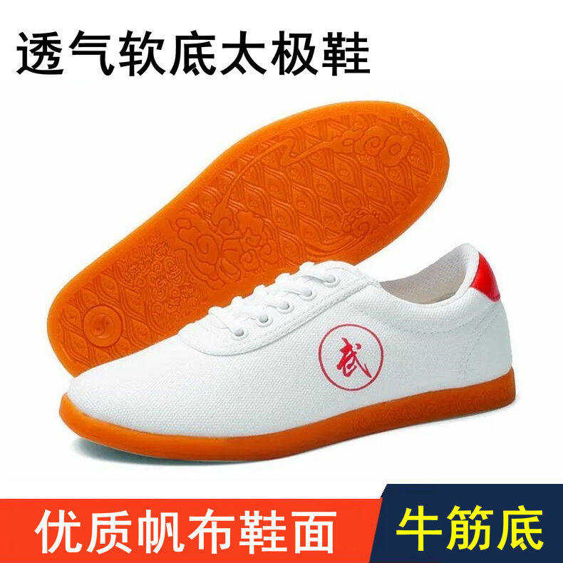 Tai Chi Shoes Summer Martial Arts Shoes for men and women Spring and autumn training Kung Fu shoes Beef Tendon Bottom Breathable Children Shoes Sports Cloth Shoes