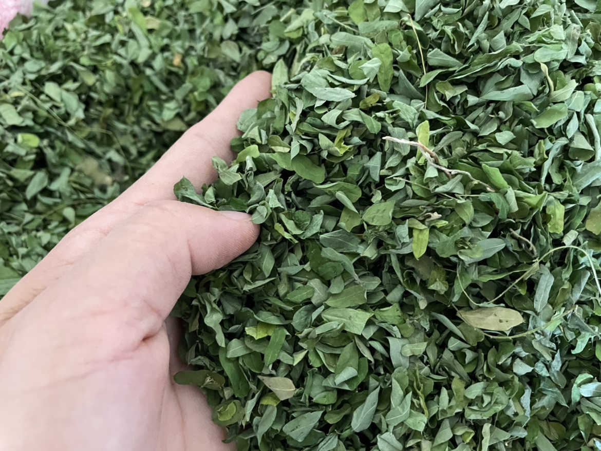 Wild Chicken Bones Grass Leafs Chicken Bones Grass Dried Vine chicken Bone Grass Leaves Syth Leaf 500 gr Promoted Chicken Bones Herbal Tea-Taobao