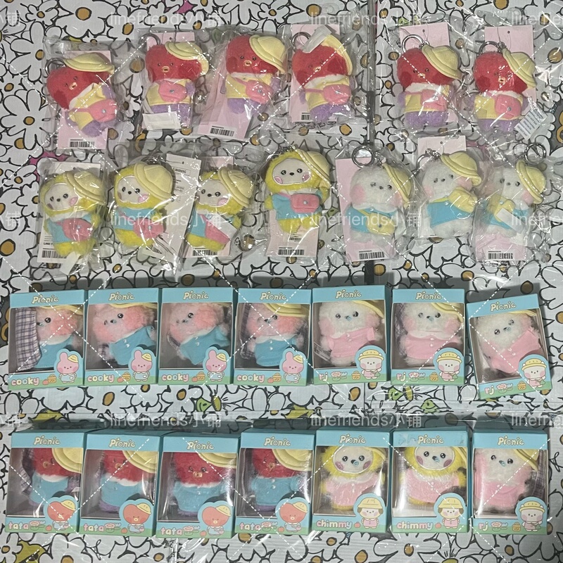 [Authentic Clearance] Line Friends Bt21 Bts Picnic Plush Toy/Keychain