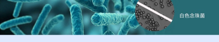 Quần áo bị mốc để nấm mốc làm sạch vết bẩn quần áo trẻ em loại bỏ các đốm đen vết bẩn trái cây chất tẩy rửa vết bẩn - Dịch vụ giặt ủi thuốc tẩy áo trắng