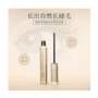 Mascara dài dày tự nhiên mã hóa uốn cong dài không tăng trưởng chất lỏng không thấm nước kéo dài không nở mascara đầu nhỏ