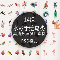 Watercolor hand-painted illustration Bird Bird Bird Flamingo parrot Peacock owl Phoenix psd free design material