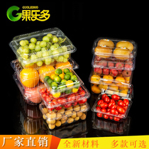  Disposable fruit packing box transparent pastry one kilogram rectangular fruit cutting plastic packaging box with lid 500 grams
