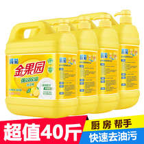 Golden Chard Rudaisy Wash & Finish 20kg Dining Hall With 40 Haggi Dishwashing Agents Catering with Washed Essence Lemon Balm