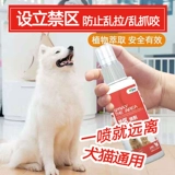 Удаленные кошки с собачьими, наделенные кошками, спреем против моче