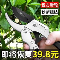 Art Garden Scissors Trim Branches Garden Plant Grass Import sk5 Fruit Trees Pluso Branches Special Prunes Cut Gardening