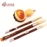 Тыква шелк Профессиональный тыква