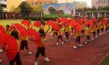 Китай бренд Qinglong бренд Tai Chi Fan Пластиковый кость кунг -фу вентилятор Fan Sound Performance Fan Practive Fan Fan Pure Red Tai Chi Spaining
