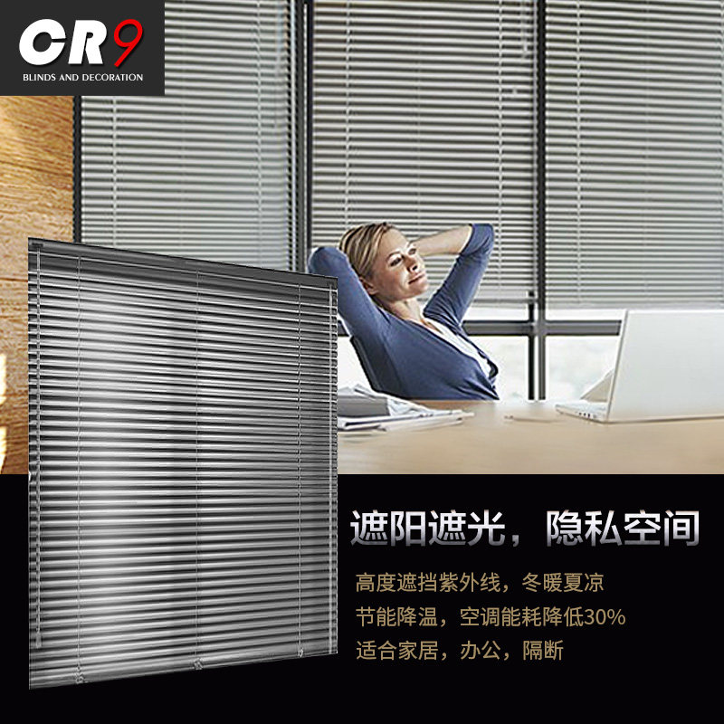 cr9��Ҷ����JW-BY12