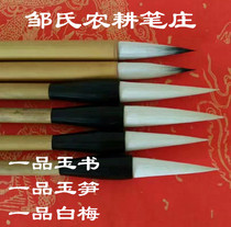 Zous farming pen zongzhuang  Written by a pint of jade jade and white plum with a brush and brush with a brush and brush.