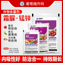  DuPont Clushuang urea manganese zinc cucumber lychee celery downy mildew late and early blight pesticide fungicide