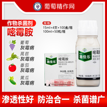  German Bayer Schjialer pyrimethamine Tomato cucumber grape gray mold Celery late and early blight pesticide fungicide