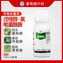 Bayer Luna Yodazool leaf mold Early Disease Powdery Pear Tree Brown Rot Pesticide Fungicide 100ml