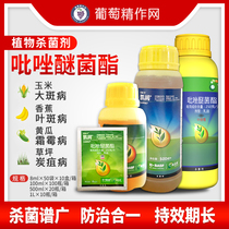  Germany BASF Kairun pyrazole ether ester anthrax soybean leaf spot grape downy mildew pesticide special fungicide