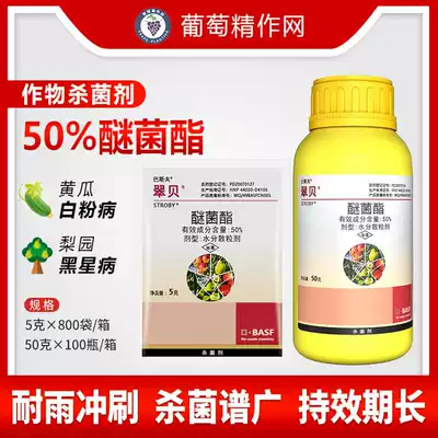 BASF Tsui Bethermycelate Strawberry Grape Pear Powdery Mildew Leaf Spot Black Spot Plant Flower Pesticide Fungicide
