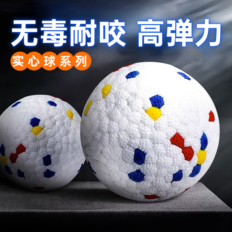 实心弹力球:边牧幼犬自嗨的秘密武器