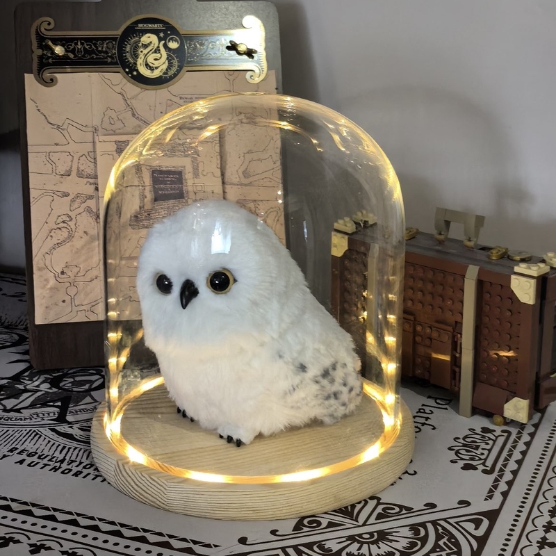 Hedwig Glass Cover Is Suitable for Harry Potter Universal Studios Owl Messenger Doll Storage Dust-Proof Display Box Hedwig Glass Cover Is Suitable for Harry Potter Universal Studios Owl Messenger Doll Storage Dust-Proof Display Box