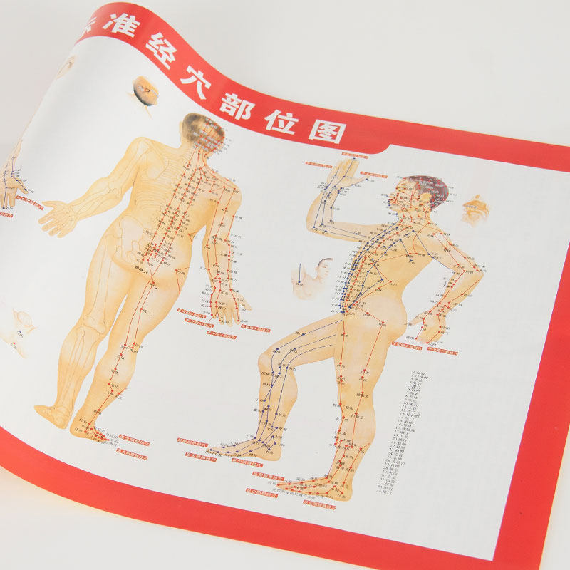 Standard human acupuncture point map Whole body acupuncture meridian map Moxa sticks moxibustion moxibustion box wholesale