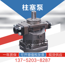Hengyuan Nantong Jinda HY series axial piston pump HY10M-RP HY16M-RP HY18M-RP oil pump
