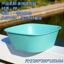Training Base Medium-sized Square Basin Wash-Face Washbasin Multipurpose Green Plastic Personal Housebasin Plastic PP Basin Y1