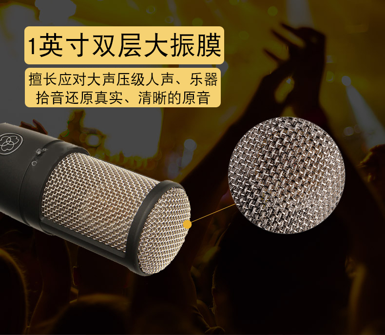 AKG tình yêu công nghệ P220 màng lớn hình trái tim chỉ giọng hát nhạc cụ chuyên nghiệp ghi âm karaoke neo tụ micro - Nhạc cụ MIDI / Nhạc kỹ thuật số micro c11