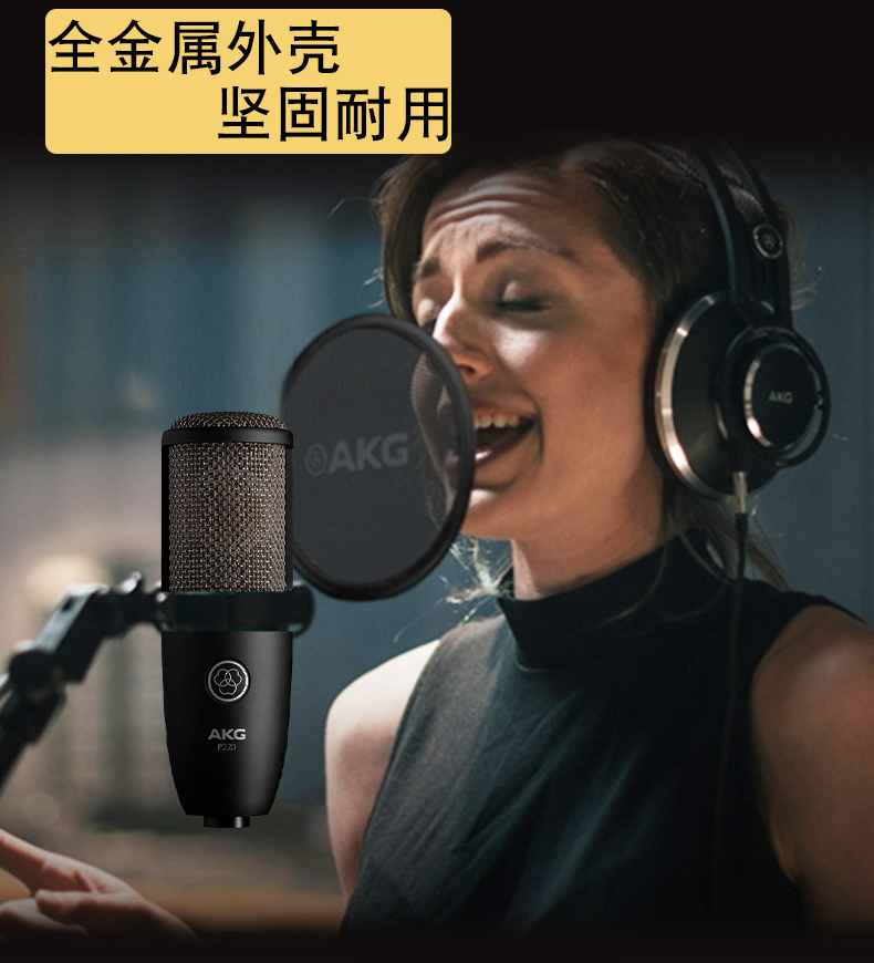 AKG tình yêu công nghệ P220 màng lớn hình trái tim chỉ giọng hát nhạc cụ chuyên nghiệp ghi âm karaoke neo tụ micro - Nhạc cụ MIDI / Nhạc kỹ thuật số micro c11