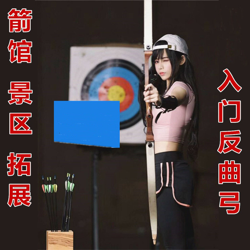 Recurve Bow Adult Men and Women Entry-Level Archery Hall Scenic Spot Outdoor Expansion Competitive Shooting Competition Bow Archery Hall Bow