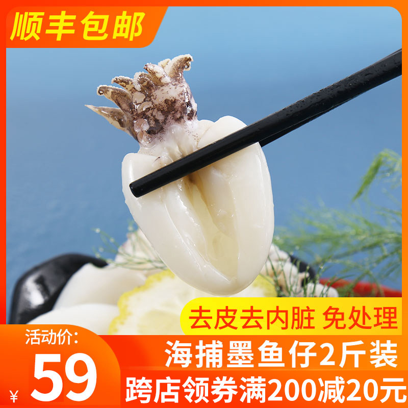 Small cuttlefish baby fresh frozen seafood octopus small octopus small squid fresh hot pot barbecue ingredients small squid