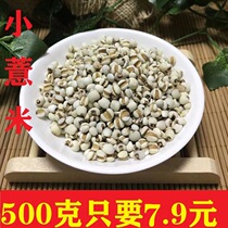 Small pearl barley fresh Guizhou small pearl barley kernel pearl barley seed rice coix seed 5 grain coarse grain coarse grain 500g