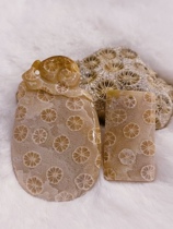 Bulingbuling coral jade live broadcast special shooting link (private shooting is invalid)