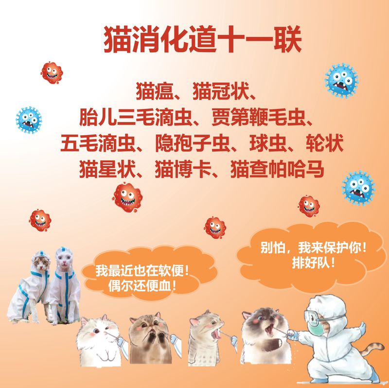 Cat Digestive Tract Pcr Testing for Ten Nucleic Acids, Feline Coronavirus, Feline Parvovirus, Trichomoniasis, Coccidiosis, Parasitic Diseases at Home Cat Digestive Tract Pcr Testing for Ten Nucleic Acids, Feline Coronavirus, Feline Parvovirus, Trichomoniasis, Coccidiosis, Parasitic Diseases at Home