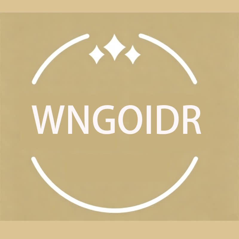 WNGOIDR轻奢设计