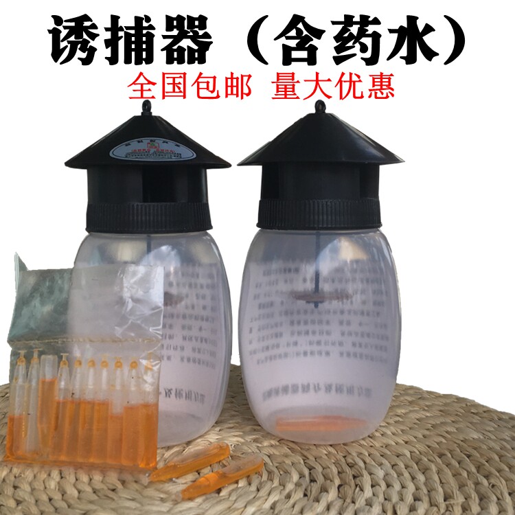Fruit fly trap contains potion Fruit shop orchard vegetable garden Harmless trap fruit fly fly pest Environmental protection