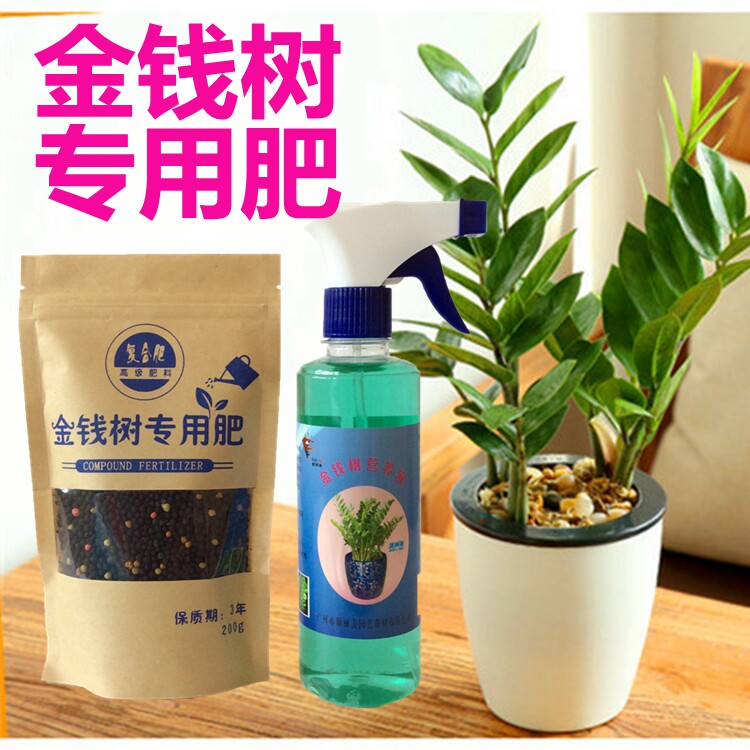 Money Tree Fertilizer Nutritional Liquid Organic Long-lasting Composite Fertile Fertile Money String Fertilizer Fertilizer Control Fertilizer