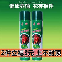 Flower green plant common flower spirit pesticide spray meat-meat monthly flower season flower aphid shell red spider pesticide