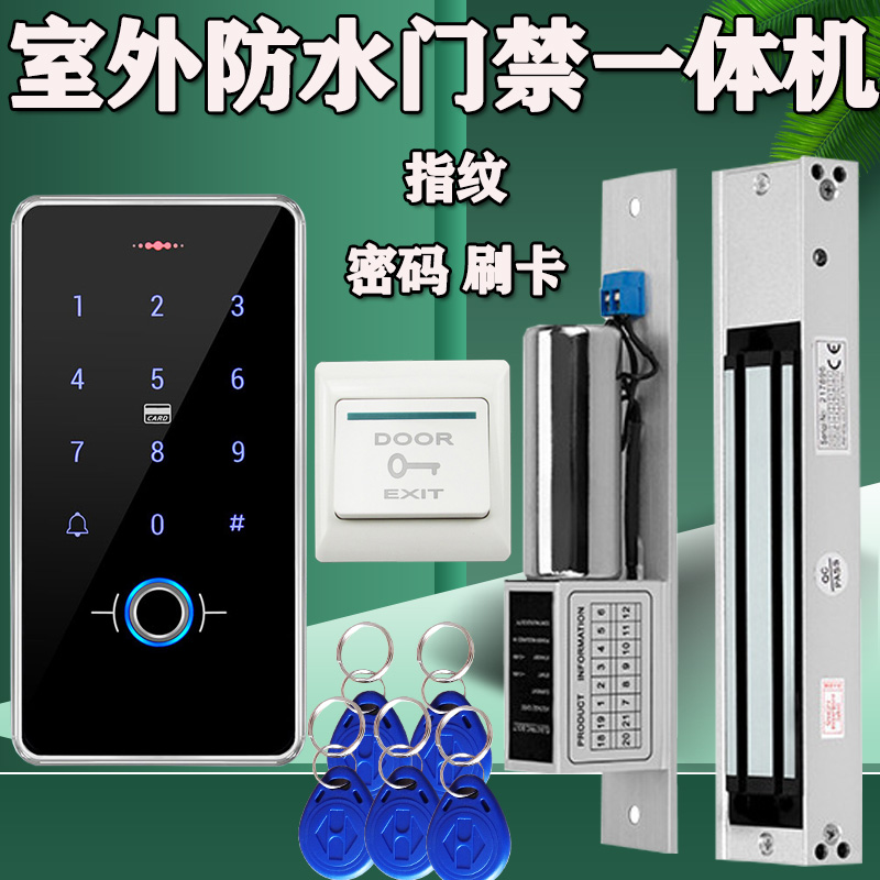 Outdoor waterproof fingerprint access control system All set iron door magnetic lock electric mortise lock swipe card password glass door