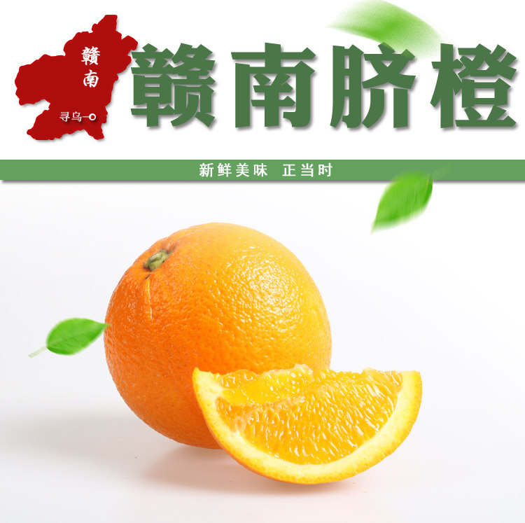 江西贛南臍橙10斤包郵